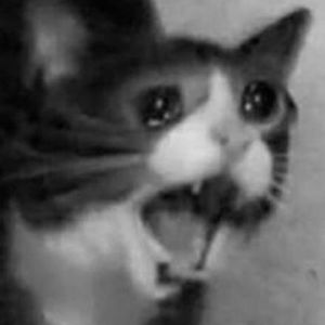 Meet your Posher, Arie